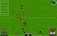 campo-international-rugby-02